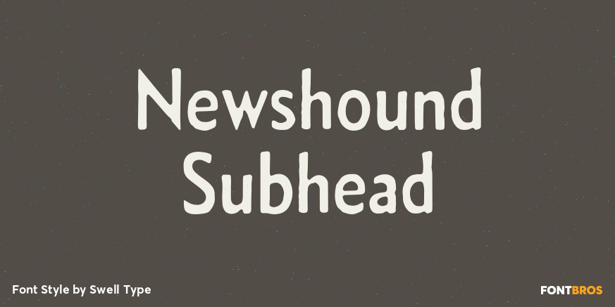 Newshound Subhead Poster