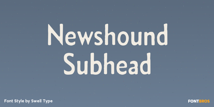 Newshound Subhead Poster