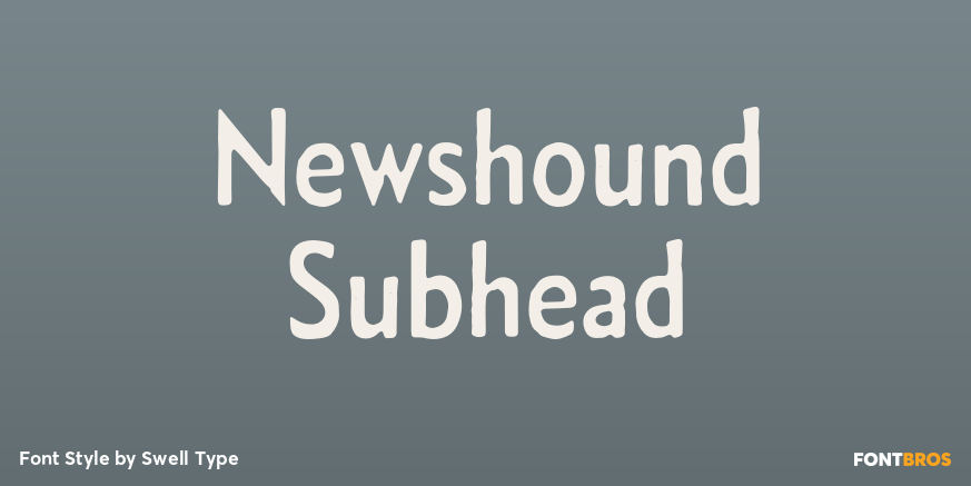 Newshound Subhead Poster