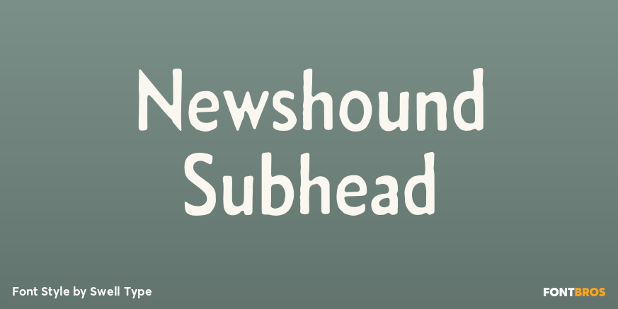 Newshound Subhead Poster
