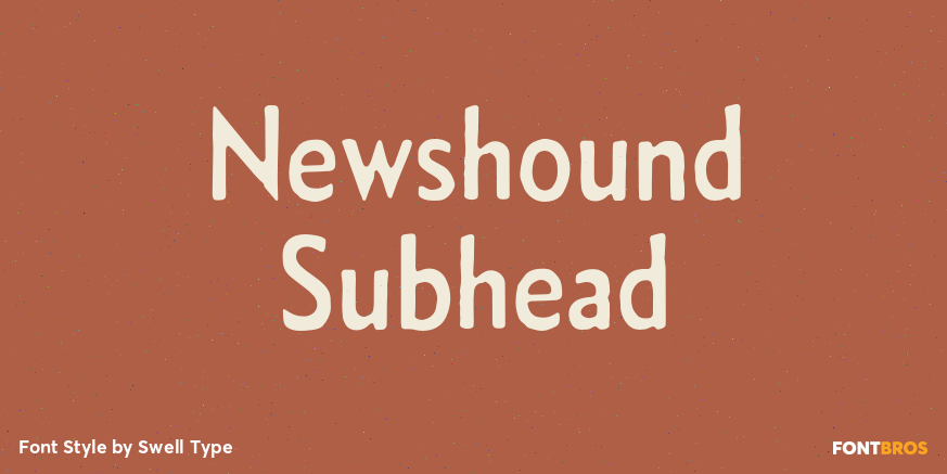 Newshound Subhead Poster
