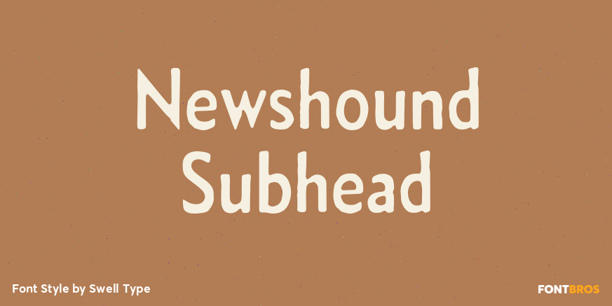 Newshound Subhead Poster