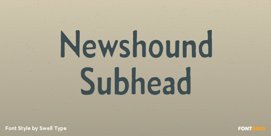 Newshound Subhead Poster