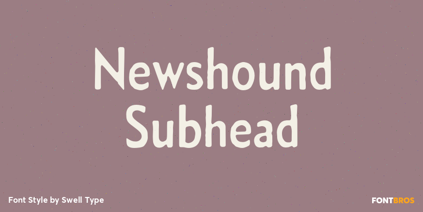 Newshound Subhead Poster