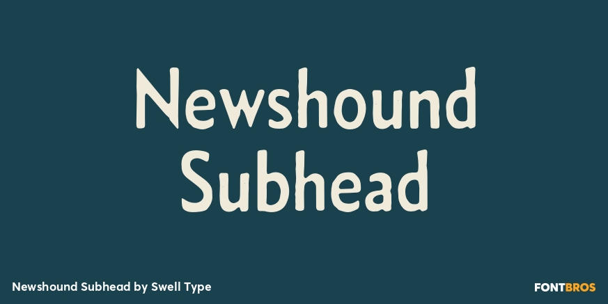 Newshound Subhead Poster