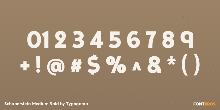 Schaberstein Medium Bold Font Poster #4