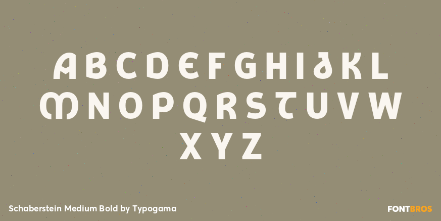 Schaberstein Medium Bold Font Poster #2