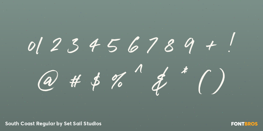 South Coast Regular Font Poster #4