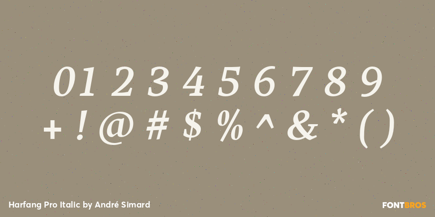 Harfang Pro Italic Font Poster #1