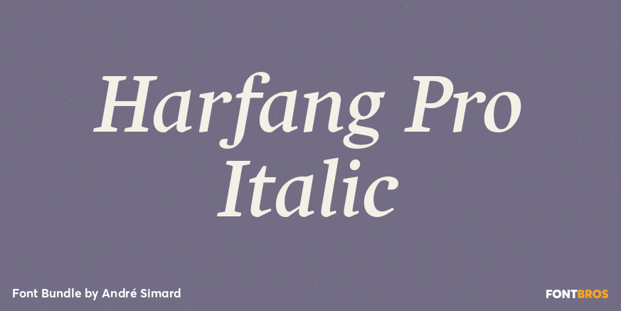 Harfang Pro Italic Poster