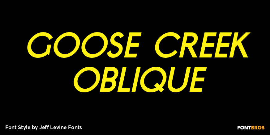 Goose Creek Oblique Poster