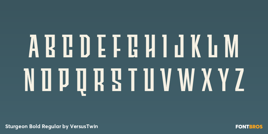 Sturgeon Bold Regular Font Poster #2