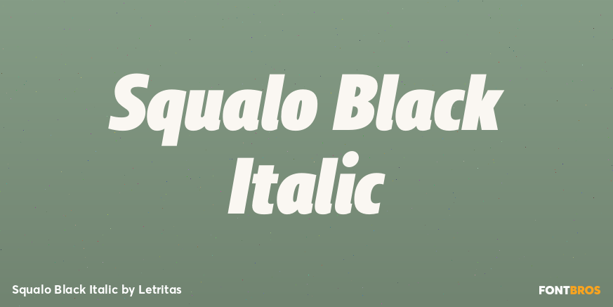 Squalo Black Italic Font Poster #1