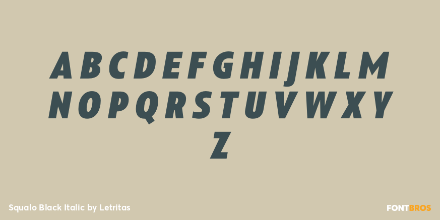 Squalo Black Italic Font Poster #2