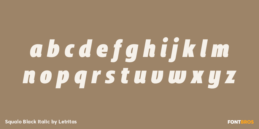 Squalo Black Italic Font Poster #3