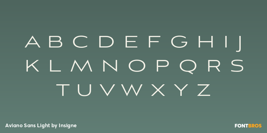 Aviano Sans Light Font Poster #3