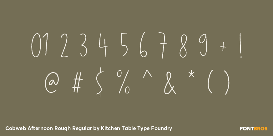 Cobweb Afternoon Rough Regular Font Poster #4