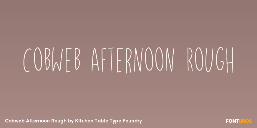 Cobweb Afternoon Rough Font Poster #1