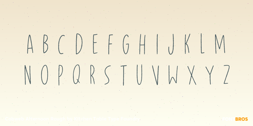 Cobweb Afternoon Rough Font Poster #2