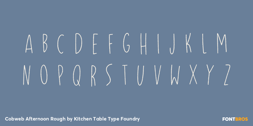 Cobweb Afternoon Rough Font Poster #3