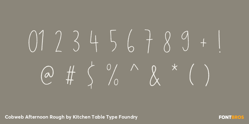 Cobweb Afternoon Rough Font Poster #4