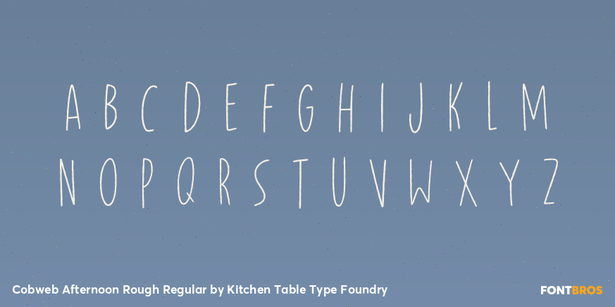 Cobweb Afternoon Rough Regular Font Poster #2