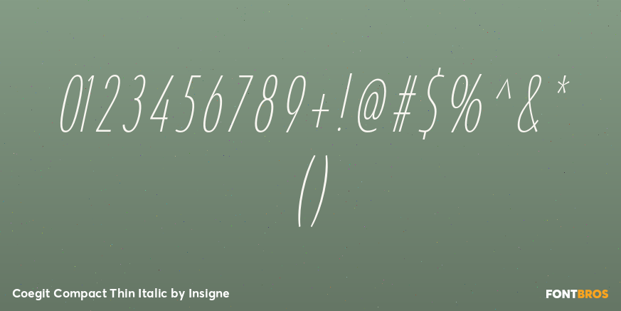 Coegit Compact Thin Italic Font Poster #4