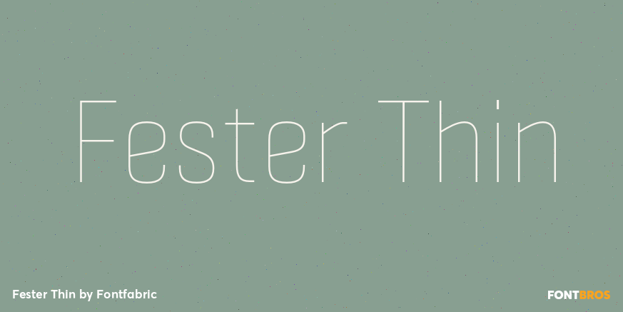 Fester Thin Font Poster #1