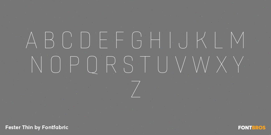 Fester Thin Font Poster #2
