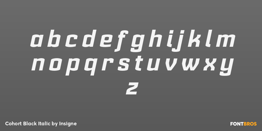 Cohort Black Italic Font Poster #3
