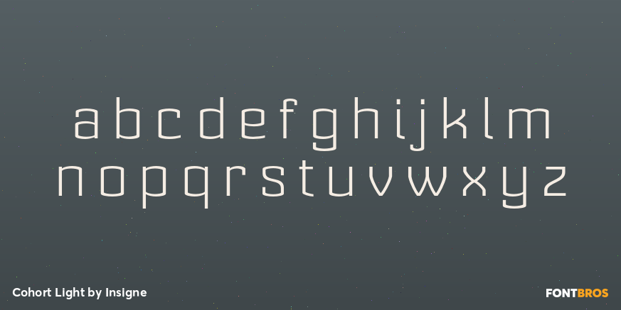 Cohort Light Font Poster #3