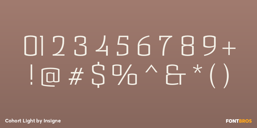 Cohort Light Font Poster #4