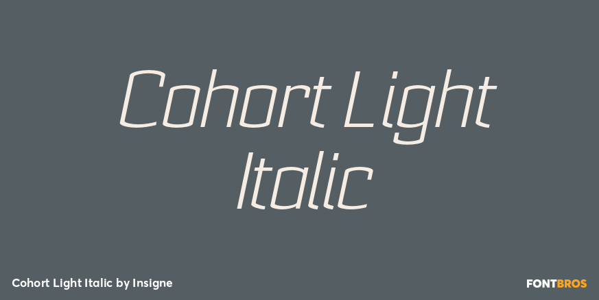 Cohort Light Italic Font Poster #1