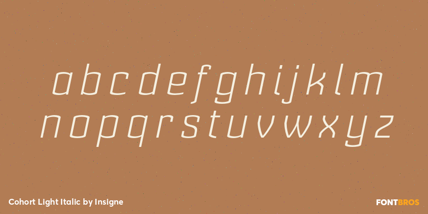 Cohort Light Italic Font Poster #3