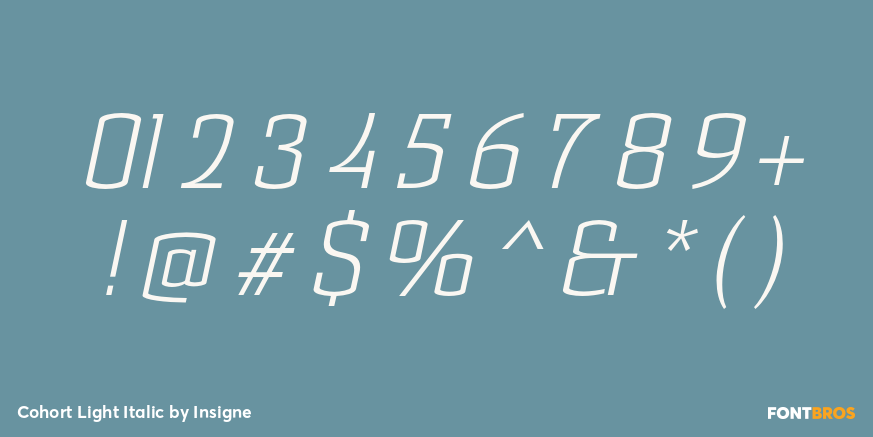Cohort Light Italic Font Poster #4