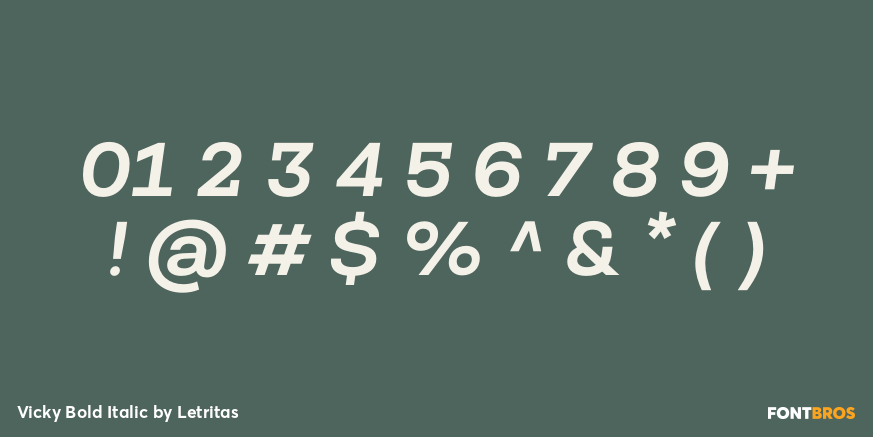 Vicky Bold Italic Font Poster #4