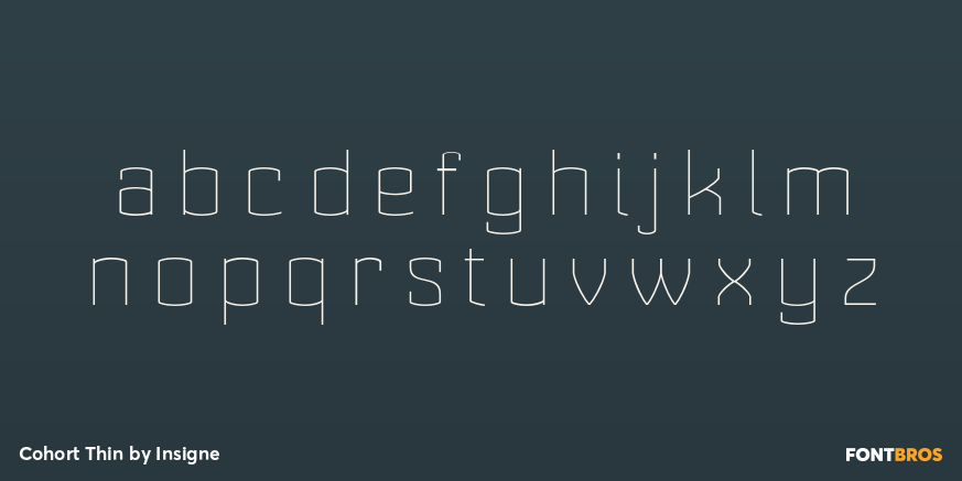 Cohort Thin Font Poster #3