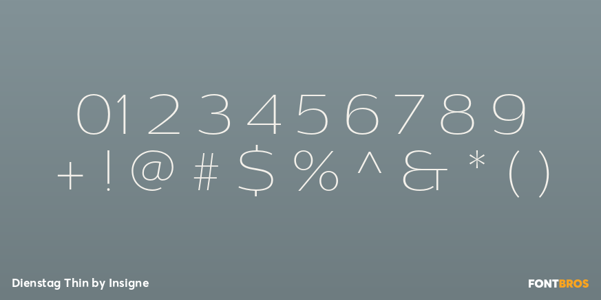 Dienstag Thin Font Poster #4