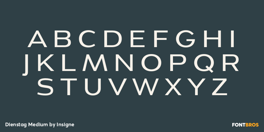 Dienstag Medium Font Poster #1