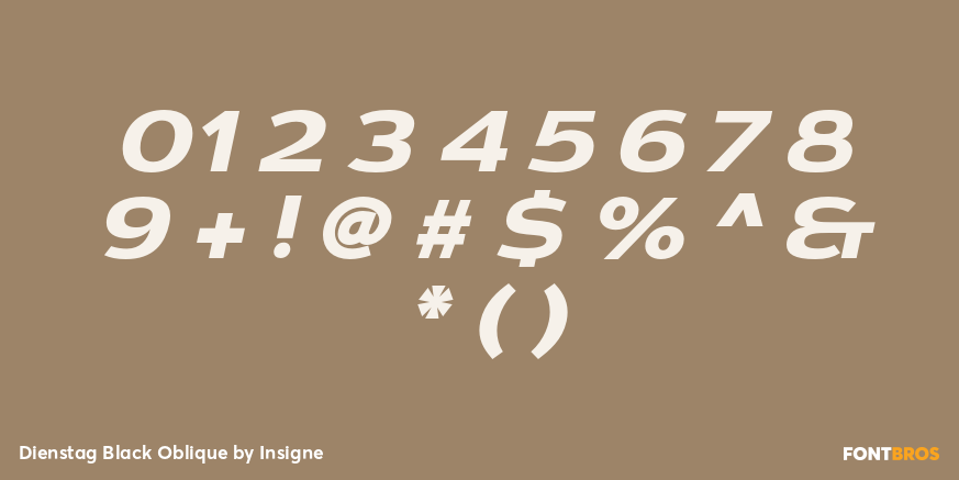 Dienstag Black Oblique Font Poster #4