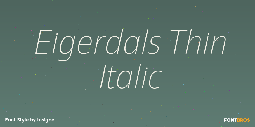 Eigerdals Thin Italic Font Poster #1