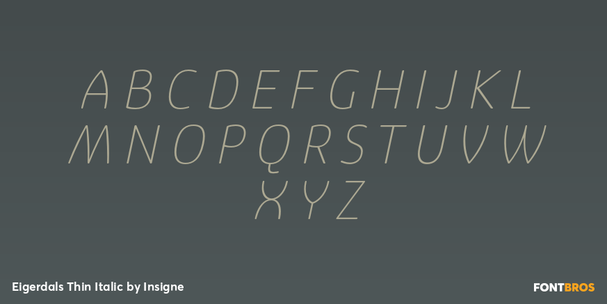 Eigerdals Thin Italic Font Poster #1