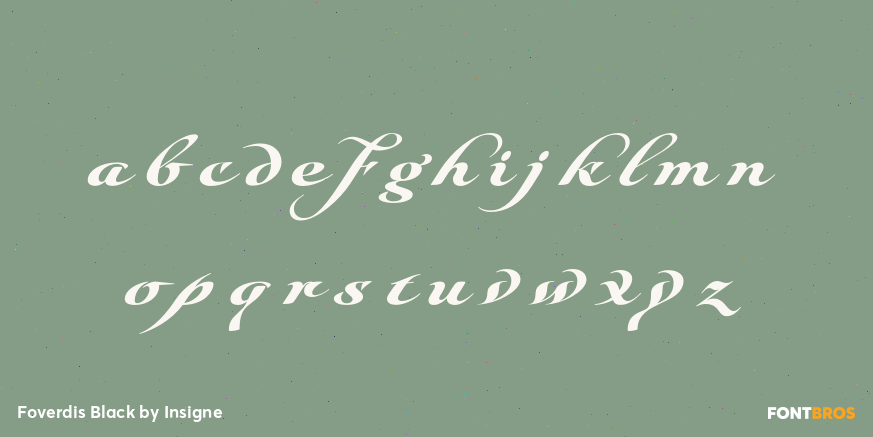 Foverdis Black Font Poster #3
