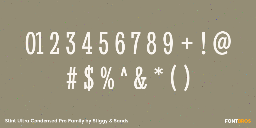 Stint Ultra Condensed Pro Family Font Poster #4