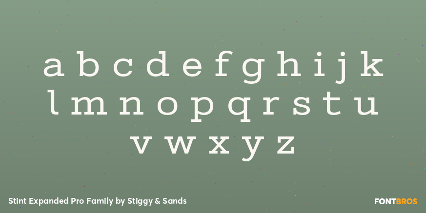 Stint Expanded Pro Family Font Poster #3