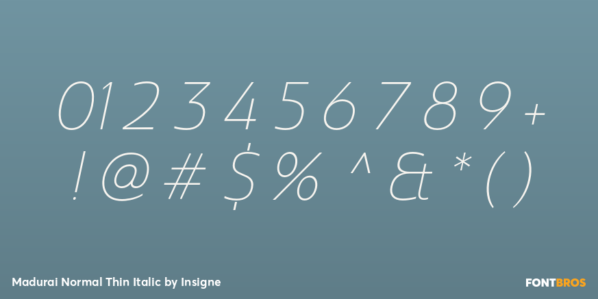 Madurai Normal Thin Italic Font Poster #1