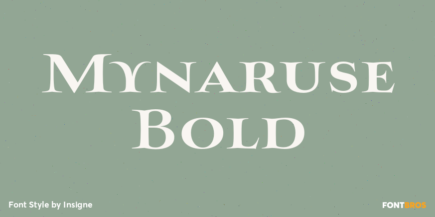 Mynaruse Bold Font Poster #1