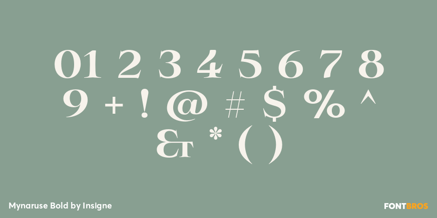 Mynaruse Bold Font Poster #1