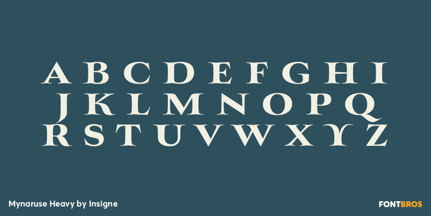 Mynaruse Heavy Font Poster #2