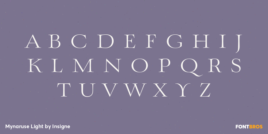 Mynaruse Light Font Poster #1